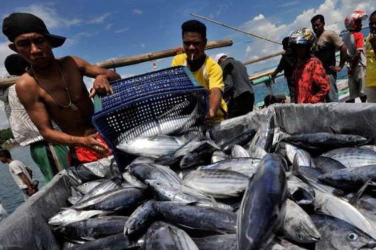 Pemprov Maluku Perkuat Dukungan untuk Komoditas Laut dan Kesejahteraan Nelayan