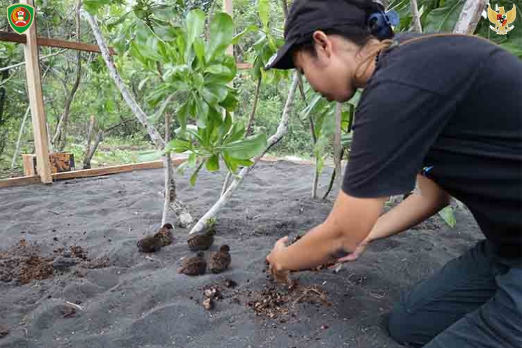 Kampung Moain: Inisiatif Hijau Warga Merawat Lingkungan